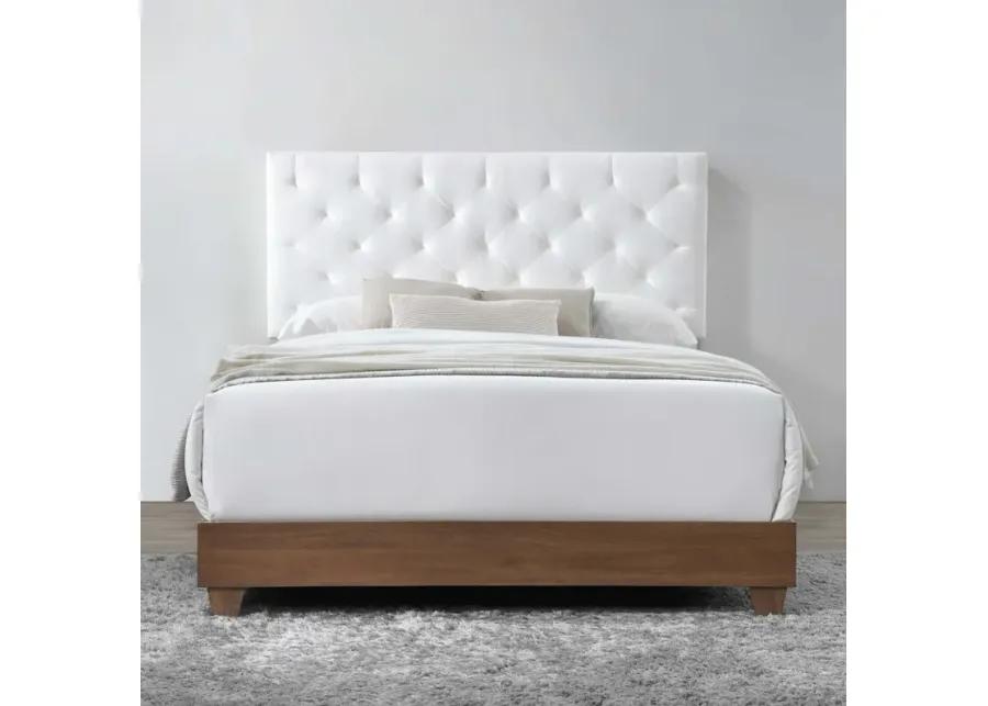 Rhiannon Diamond Tufted Upholstered Performance Velvet Queen Bed