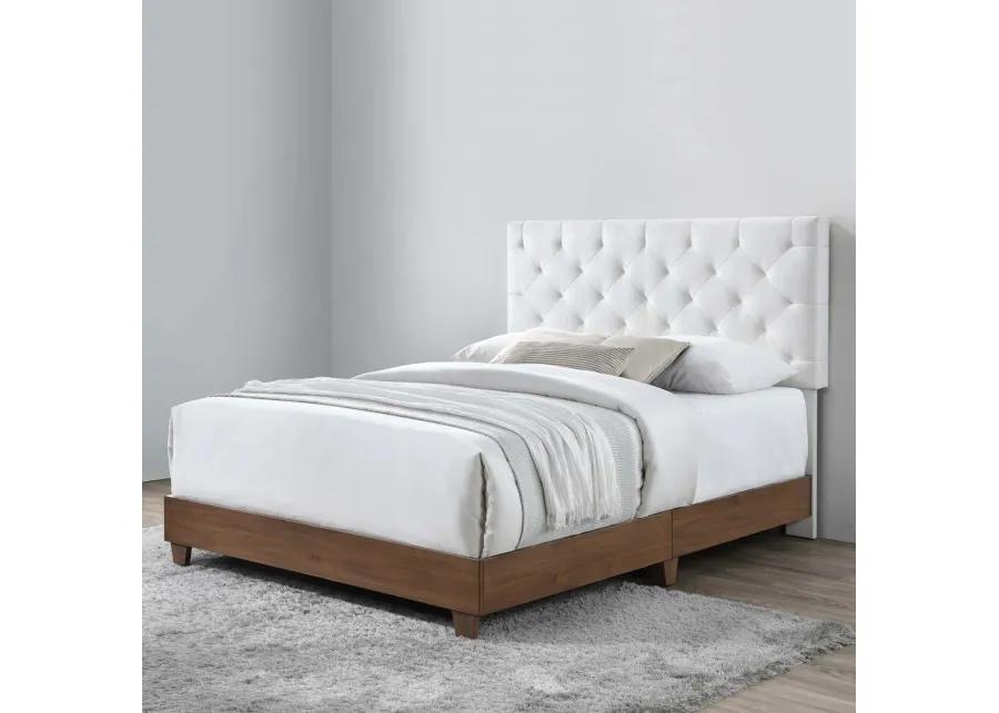 Rhiannon Diamond Tufted Upholstered Performance Velvet Queen Bed