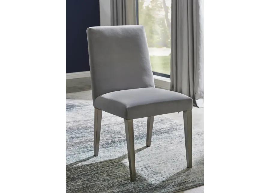 Omnia Dining Chair in Smoke Velvet and Brushed Stainless Steel