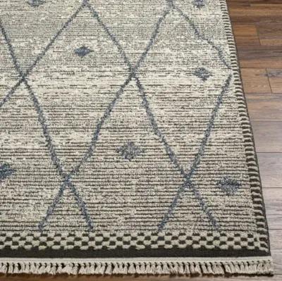 Berlin BLR-2310 2'7" x 7'3" Machine Woven Rug