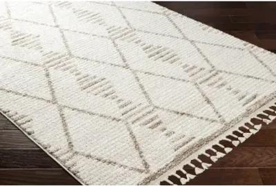 Valencia VLC-2319 5'3" x 7' Machine Woven Rug