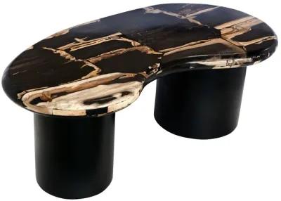 Petrified Wood, 51" Kidney Coffee Table, Black