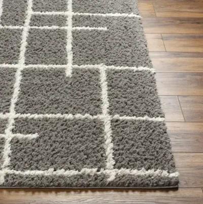 Maryland Shag MSG-2305 5'3" x 7' Machine Woven Rug