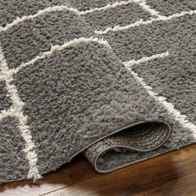 Maryland Shag MSG-2305 5'3" x 7' Machine Woven Rug