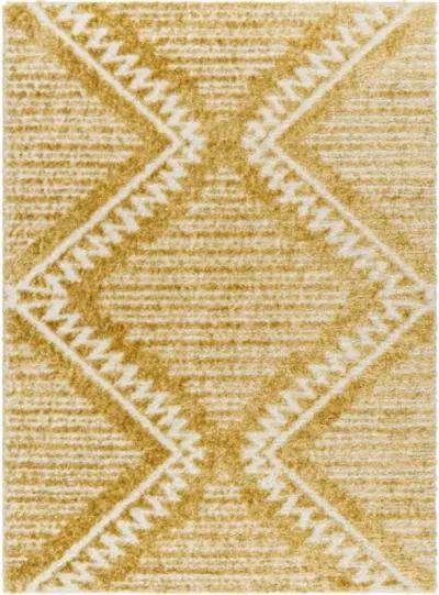 Nomadic NMC-2305 5'3" x 7' Machine Woven Rug