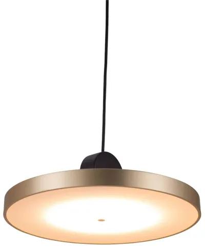 Mozu Ceiling Lamp Gold & Black