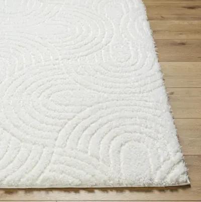 Nomadic NMC-2316 7'10" x 10' Machine Woven Rug