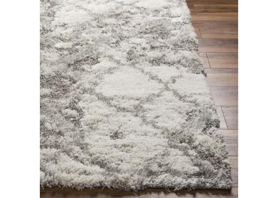 Alta shag 8'10" x 12' Rug