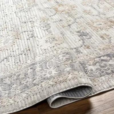 Alamo ALO-2307 5'3" x 7' Machine Woven Rug