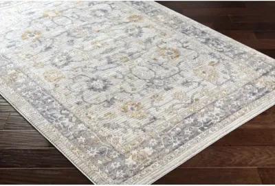 Alamo ALO-2307 5'3" x 7' Machine Woven Rug