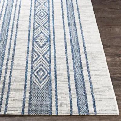 Eagean 8'10" x 12' Rug