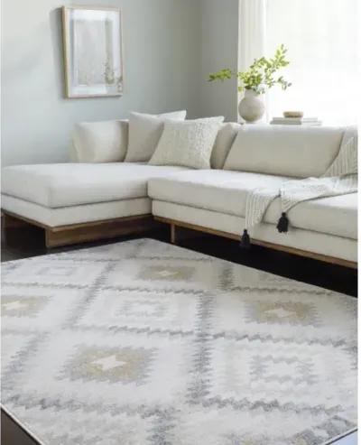 Harput HAP-1166 2' x 2'11" Machine Woven Rug