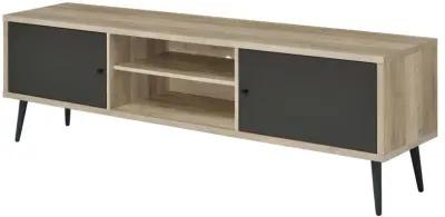 Allie 2-Door TV Stand With Storage Shelf