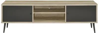 Allie 2-Door TV Stand With Storage Shelf