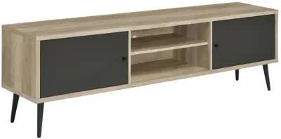 Allie 2-Door TV Stand With Storage Shelf