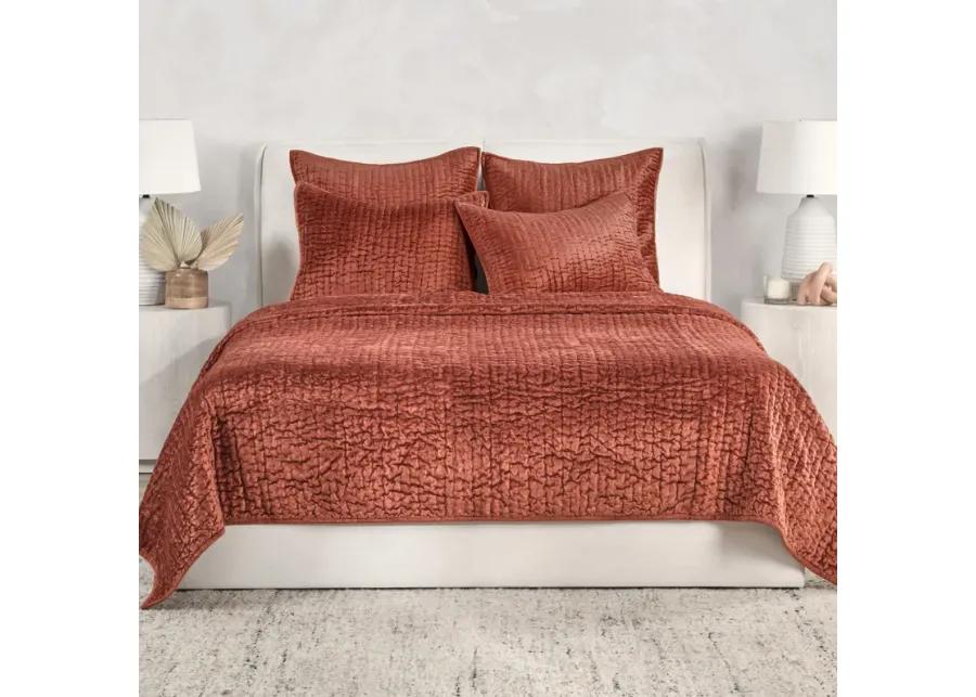 Dimitry 100% Rayon Velvet Terra Cotta Quilt