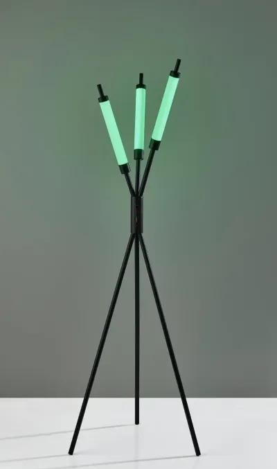 Collin LED Color Changing 3 Light Floor Lamp