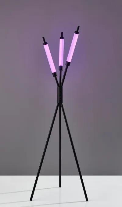 Collin LED Color Changing 3 Light Floor Lamp