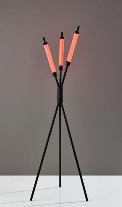 Collin LED Color Changing 3 Light Floor Lamp