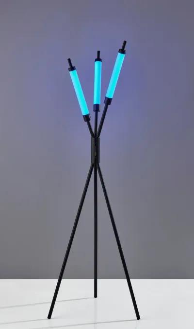 Collin LED Color Changing 3 Light Floor Lamp