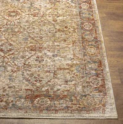 Aspendos APS-2317 2'7" x 10' Rug