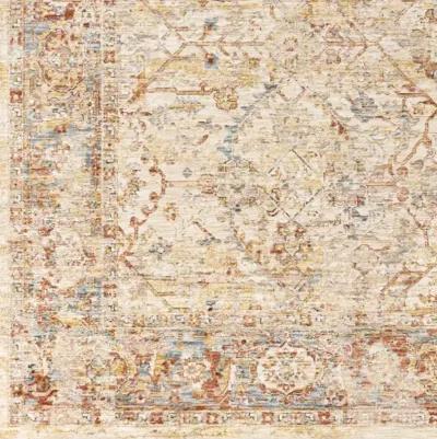 Aspendos APS-2317 2'7" x 10' Rug