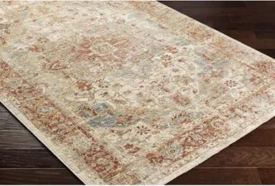 Aspendos APS-2317 2'7" x 10' Rug