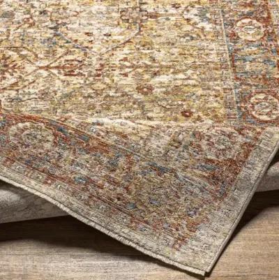 Aspendos APS-2317 2'7" x 10' Rug