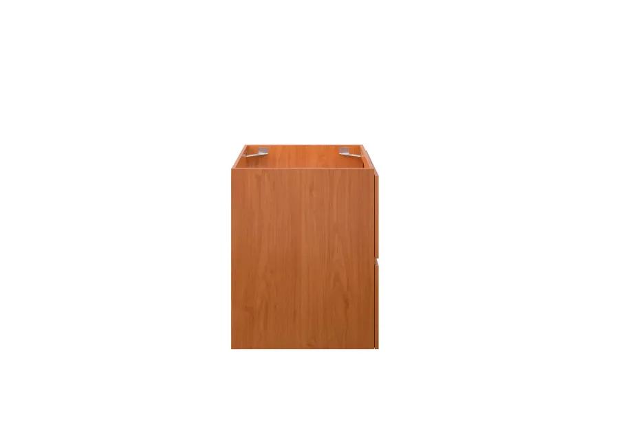 Scenic 24" Wall-Mount Bathroom Vanity Cabinet (Sink Basin Not Included)