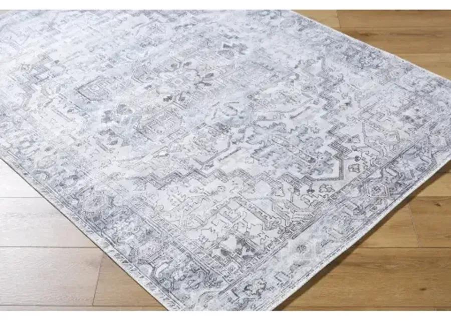 Embrace EMA-2303 2' x 2'11" Machine Woven Rug