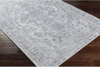 Tahmis THI-2710 2'7" x 7'10" Rug