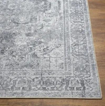 Tahmis THI-2710 2'7" x 7'10" Rug