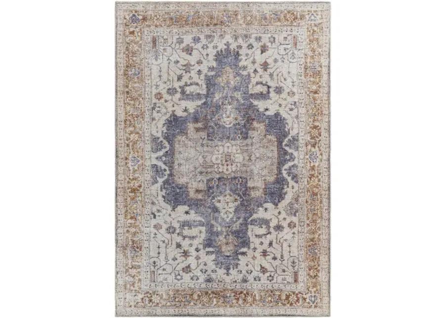 Amelie AML-2374 7'10" x 10'2" Machine Woven Rug