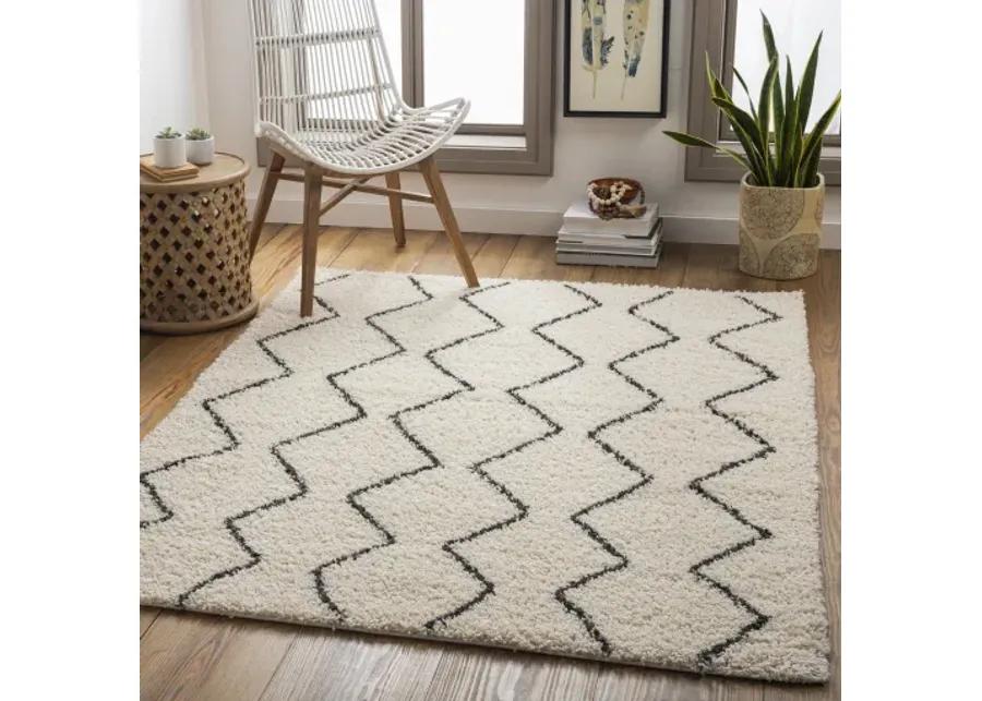 Beni shag 7'10" x 10' Rug