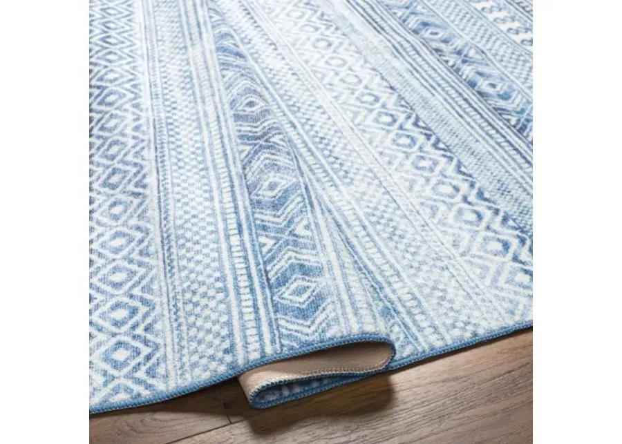 Hera HRH-2306 2'7" x 4' Machine Woven Rug