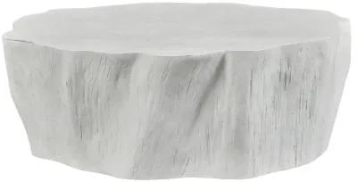 Woods Edge White Coffee Table