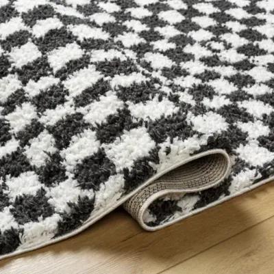 Birmingham BMM-2319 6'7" x 9' Machine Woven Rug