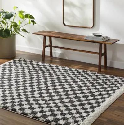 Birmingham BMM-2319 6'7" x 9' Machine Woven Rug