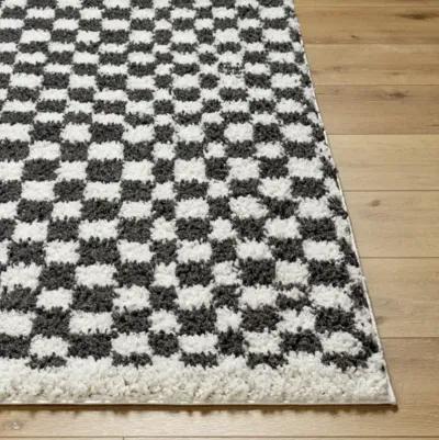 Birmingham BMM-2319 6'7" x 9' Machine Woven Rug