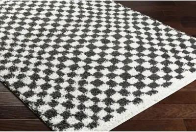 Birmingham BMM-2319 6'7" x 9' Machine Woven Rug