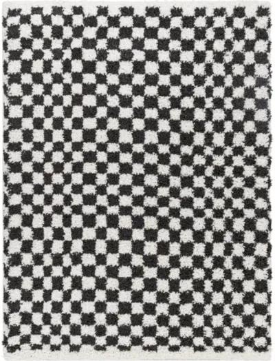 Birmingham BMM-2319 6'7" x 9' Machine Woven Rug