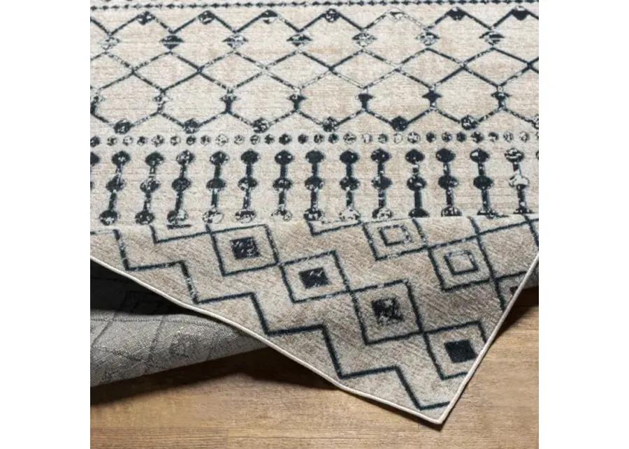 Lavadora 9'3" x 12' Rug