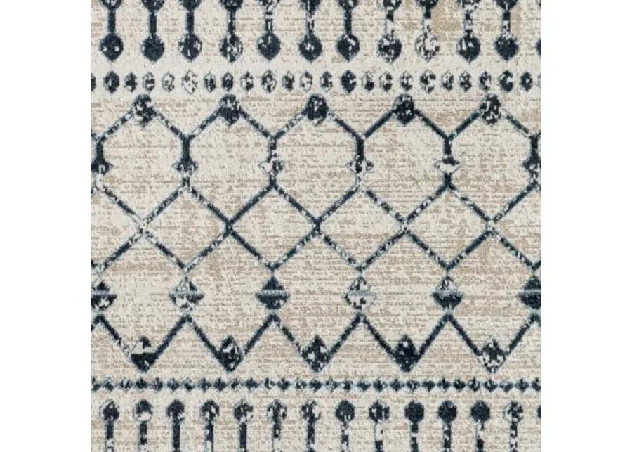 Lavadora 9'3" x 12' Rug