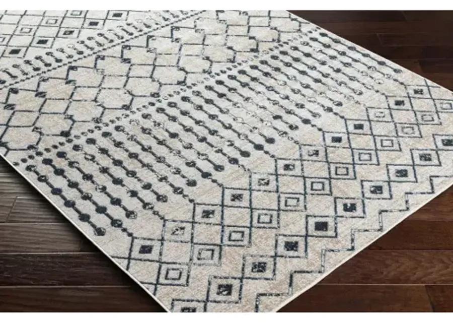 Lavadora 9'3" x 12' Rug