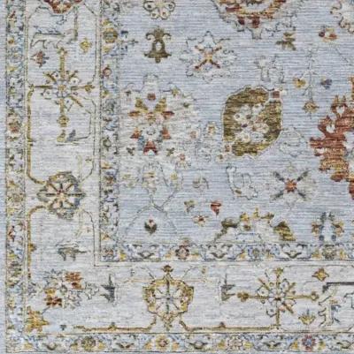 Reina REN-2306 2'7" x 10' Rug