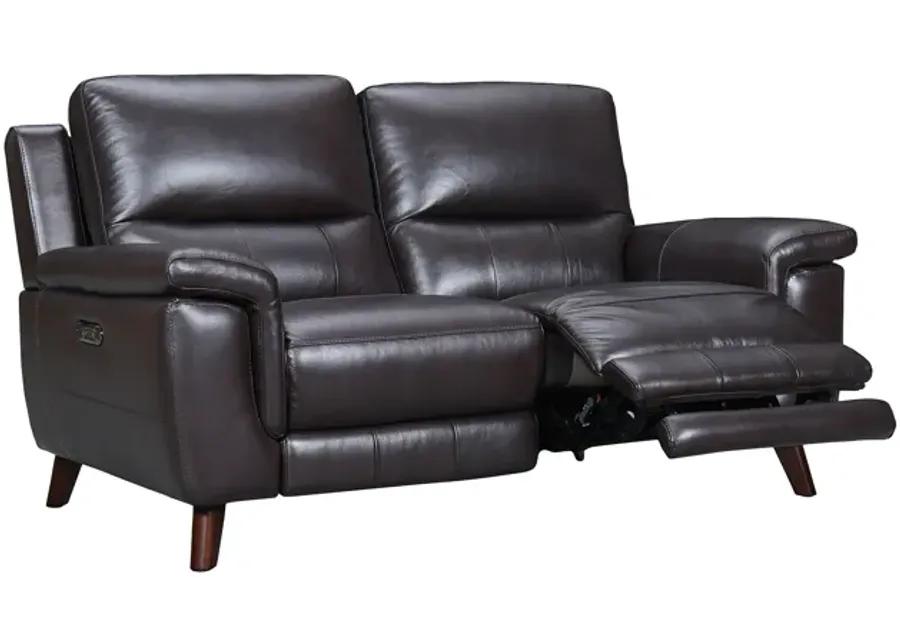 Lizette 65" Brown Leather Power Recliner Loveseat with USB