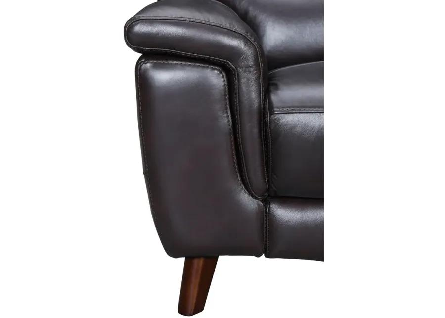 Lizette 65" Brown Leather Power Recliner Loveseat with USB