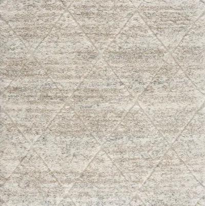 Madison Park Sophia Cream Talas Trellis Area Rug in Cream