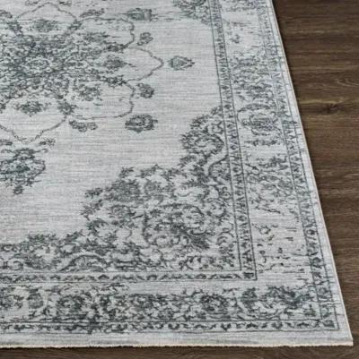 Laila LAA-2302 2'7" x 7'3" Rug