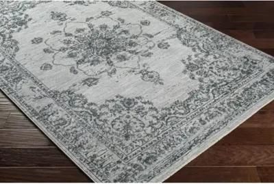 Laila LAA-2302 2'7" x 7'3" Rug